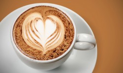 Etiam dictum egestas